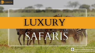 Luxury Safaris