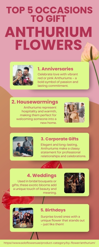Top 5 Occasions to Gift Anthurium Flowers
