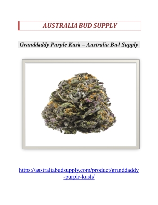 Granddaddy Purple Kush - Australia Bud Supply