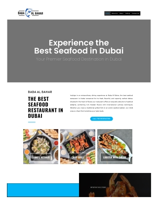 www-babaalbahardxb-com-