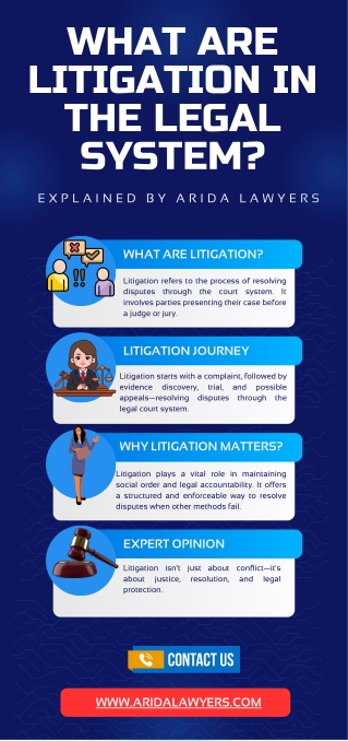 What Are Litigation in the Legal System? Infographic Explanation