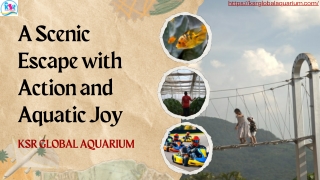 A Scenic Escape with Action and Aquatic Joy - KSR Global Aquarium