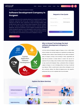Software Development Company In Gurgaon