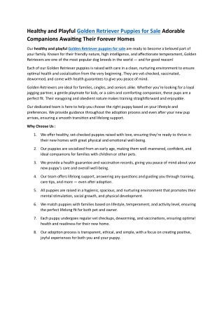 Golden retriever puppies for sale