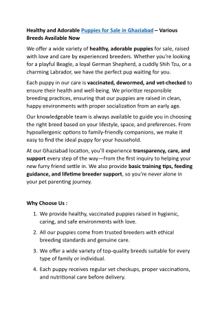 Puppies for Sale in Ghaziabad