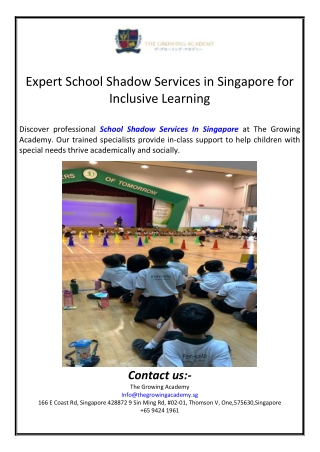 Expert School Shadow Services in Singapore for Inclusive Learning