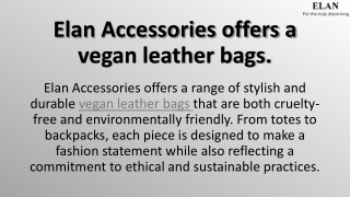Elan Accessories - Best laptop bags in India