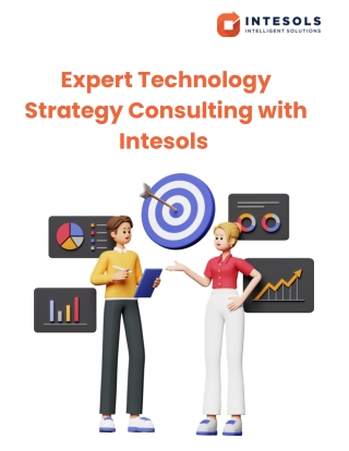 Expert Technology Strategy Consulting with Intesols