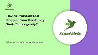 How to Maintain and Sharpen Your Gardening Tools for Longevity