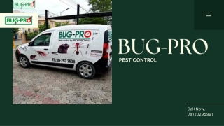 Top Pest Control Company in Nigeria Offering Expert Fumigation Services