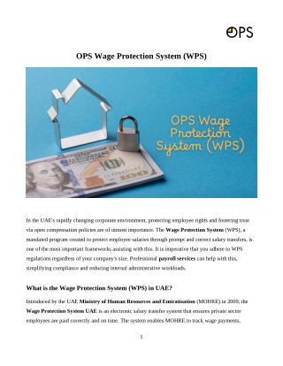 OPS Wage Protection System: Hassle-Free Payroll for UAE Businesses