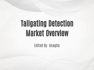 Tailgating Detection Market Outlook