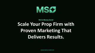 Digital marketing agencies with the best customer experience - Money Social