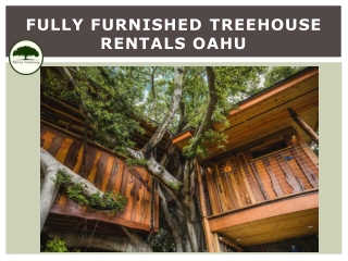 fully furnished treehouse rentals Oahu