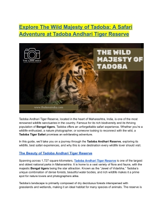 The Wild Majesty of Tadoba