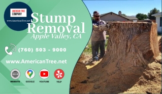 Stump Removal Apple Valley, CA