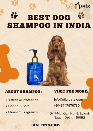 Best Flea Shampoo for Dogs in India – Trusted by Pet Parents
