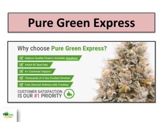 Cannabis Vape Pen – Smooth, Discreet & Effective