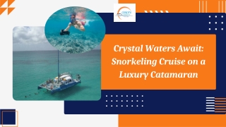 Crystal Waters Await Snorkeling Cruise on a Luxury Catamaran
