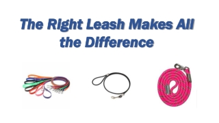 The Right Leash Makes All the Difference