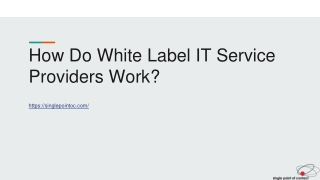 How Do White Label IT Service Providers Work?