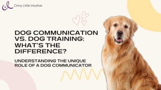 Dog Communication vs. Dog Training: Understanding the Key Differences