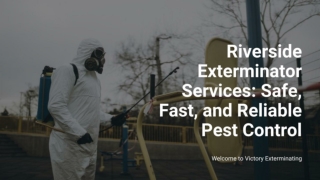 Riverside Exterminator Services- Safe, Fast, and Reliable Pest Control