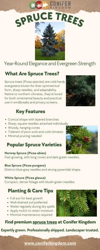 Cold-Hardy Beauty: Spruce Trees for Northern Gardens