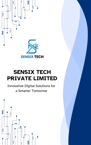 SensixTech-Comapny-Profile (1)