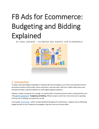 FB Ads for Ecommerce Budgeting and Bidding Explained