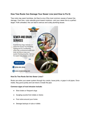 How Tree Roots Can Damage Your Sewer Line (and How to Fix It)