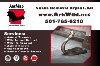 Snake Removal Bryant, AR