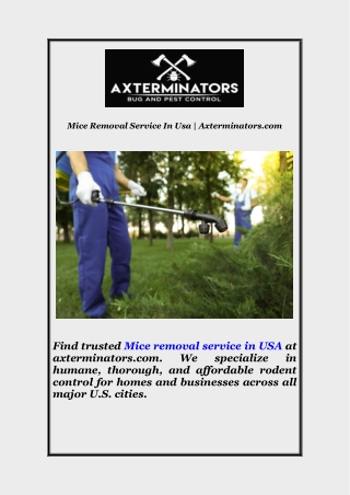 Mice Removal Service In Usa | Axterminators.com