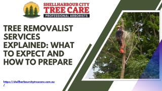 Tree Removalist Services Explained What to Expect and How to Prepare