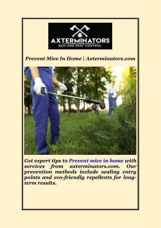 Prevent Mice In Home | Axterminators.com
