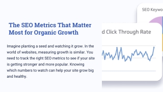 The-SEO-Metrics-That-Matter-Most-for-Organic-Growth