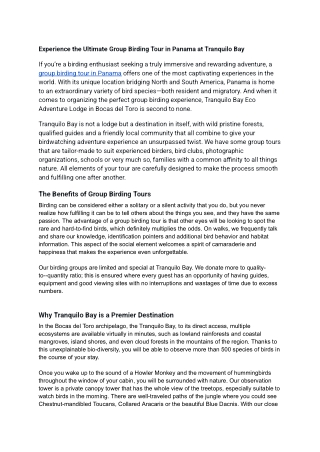 Experience the Ultimate Group Birding Tour in Panama