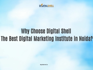 Why Digital Shell is the Best Digital Marketing Institute in Noida