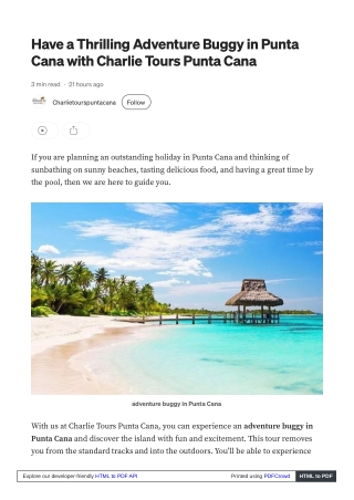 Have a Thrilling Adventure Buggy in Punta Cana with Charlie Tours Punta Cana
