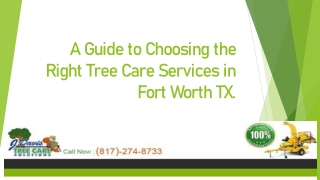 Tree Care Services Fort Worth TX