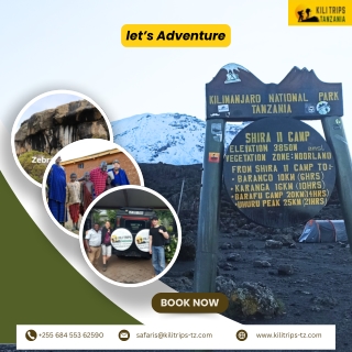 Kilimanjaro & Safari Packages – Top Tanzania Tour Deal