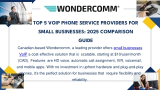 Top 5 VoIP Phone Service Providers for Small Businesses 2025 Comparison Guide