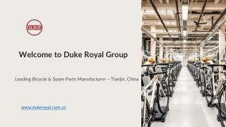 Trusted Bicycle Exporter & Supplier in China – Duke Royal Group