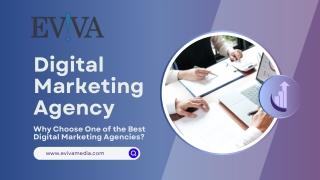 Top-Rated & Trusted – Eviva Media is a Leading Digital Marketing Agency