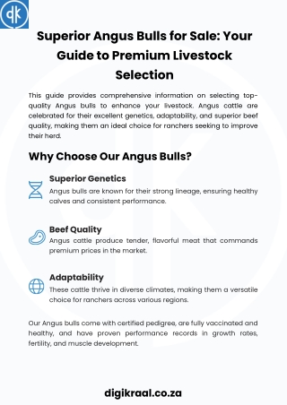 Superior-Angus-Bulls-for-Sale-Your-Guide-to-Premium-Livestock-Selection