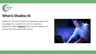 Managing the Risks of Shadow AI