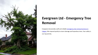 Calgary Emergency Tree Removal Services - Evergreen Ltd