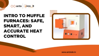 Intro to Muffle Furnaces Safe, Smart, and Accurate Heat Control