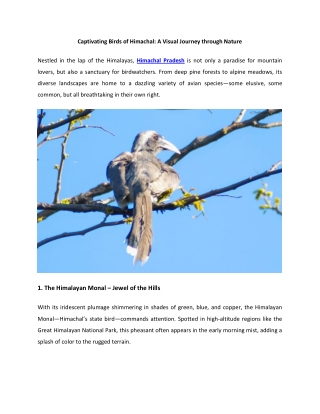 Captivating Birds of Himachal A Visual Journey Through Nature