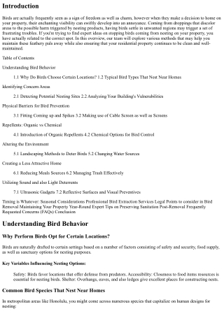 Expert Tips on Preventing Birds from Nesting on Your Property